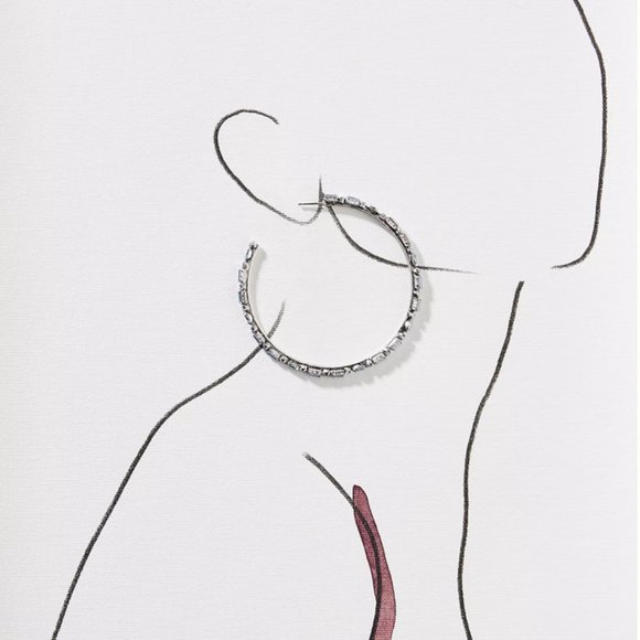 DANNIJO Linx Crystal Hoop Earrings - Picture 3 of 8